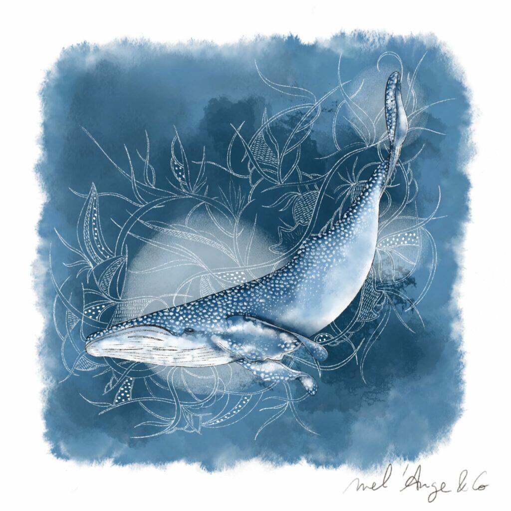 Illustration_sans_titre 7 (1)-min