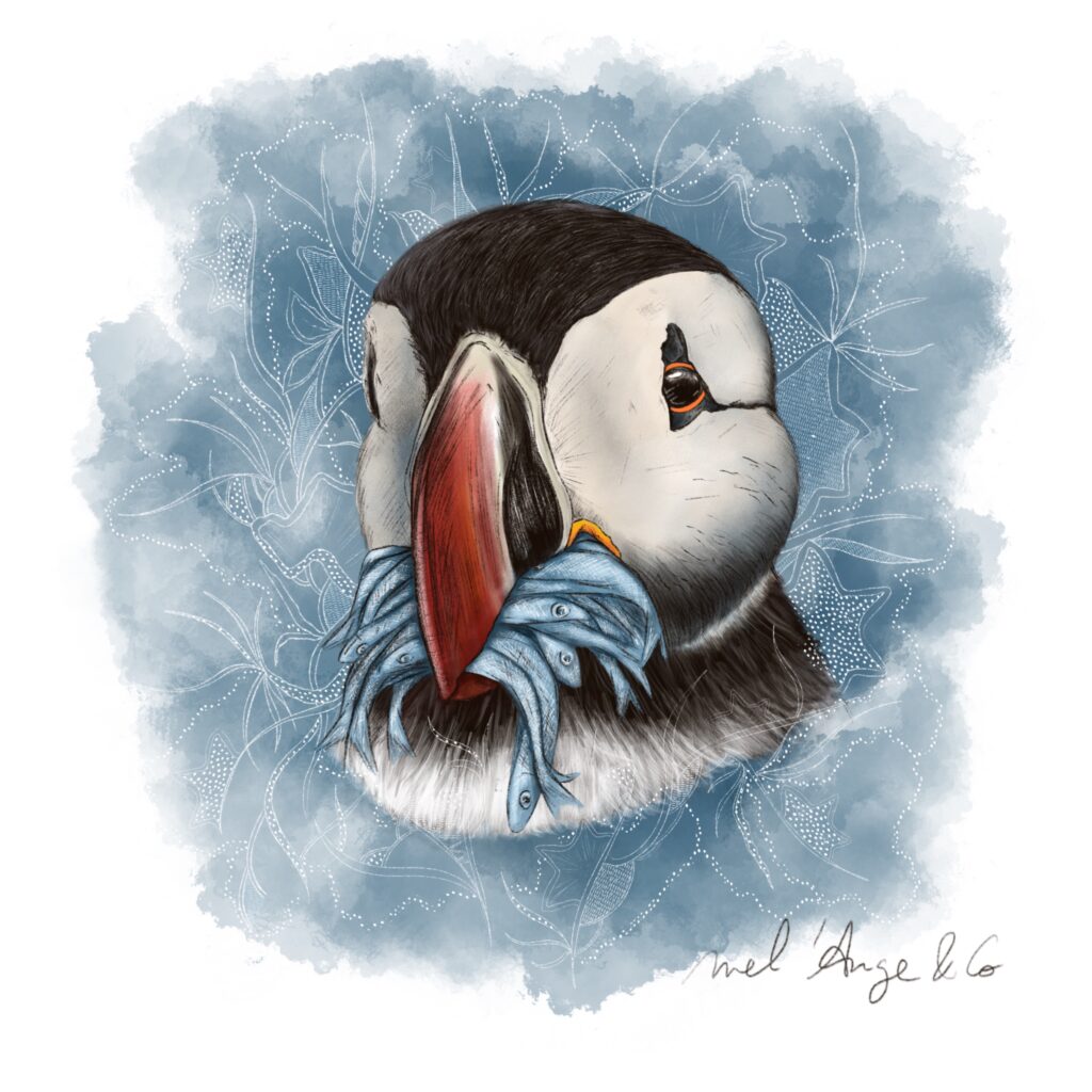 Vintage_-_Juditty 10