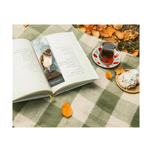 Marque-page Chouette Chevêche