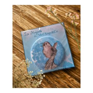 Magnet Troglodyte Mignon