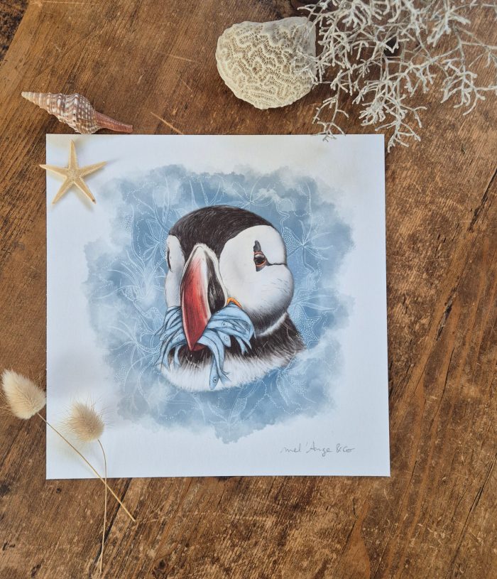 669311b5-d0fa-42c0-8773-f3d133fc8595